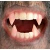 Custom Designer Werewolf Fangs -Cosplay Store 2024 393396