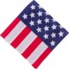 American Flag Bandana -Cosplay Store 2024 61532