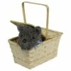 Picnic Basket With Toto - Wizard Of Oz -Cosplay Store 2024 687861