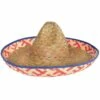 Straw Sombrero -Cosplay Store 2024 740154