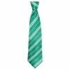 AMSCAN Slytherin Tie - Harry Potter -Cosplay Store 2024 792986