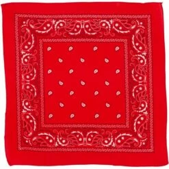 Red Paisley Bandana, 20in X 20in -Cosplay Store 2024 C30842 red 01