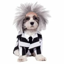 Beetlejuice Dog Costume