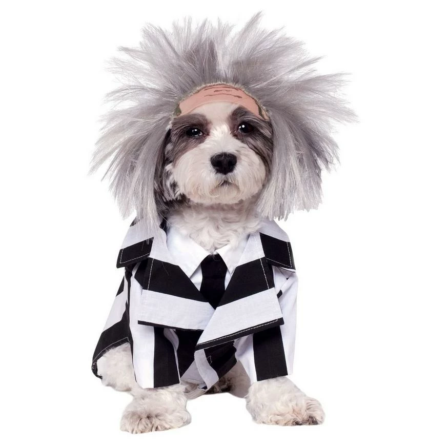 Beetlejuice Dog Costume 3 Beetlejuice Dog Costume