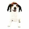Rasta Dog Costume 1 Rasta Dog Costume -Cosplay Store 2024 P751883
