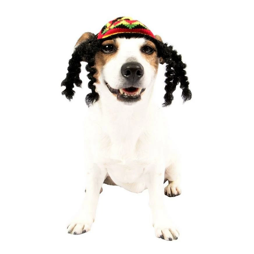 Rasta Dog Costume 3 Rasta Dog Costume