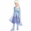 AMSCAN Child Act 2 Elsa Costume - Frozen 2 -Cosplay Store 2024 P842812