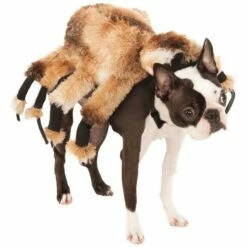 Giant Spider Dog Costume