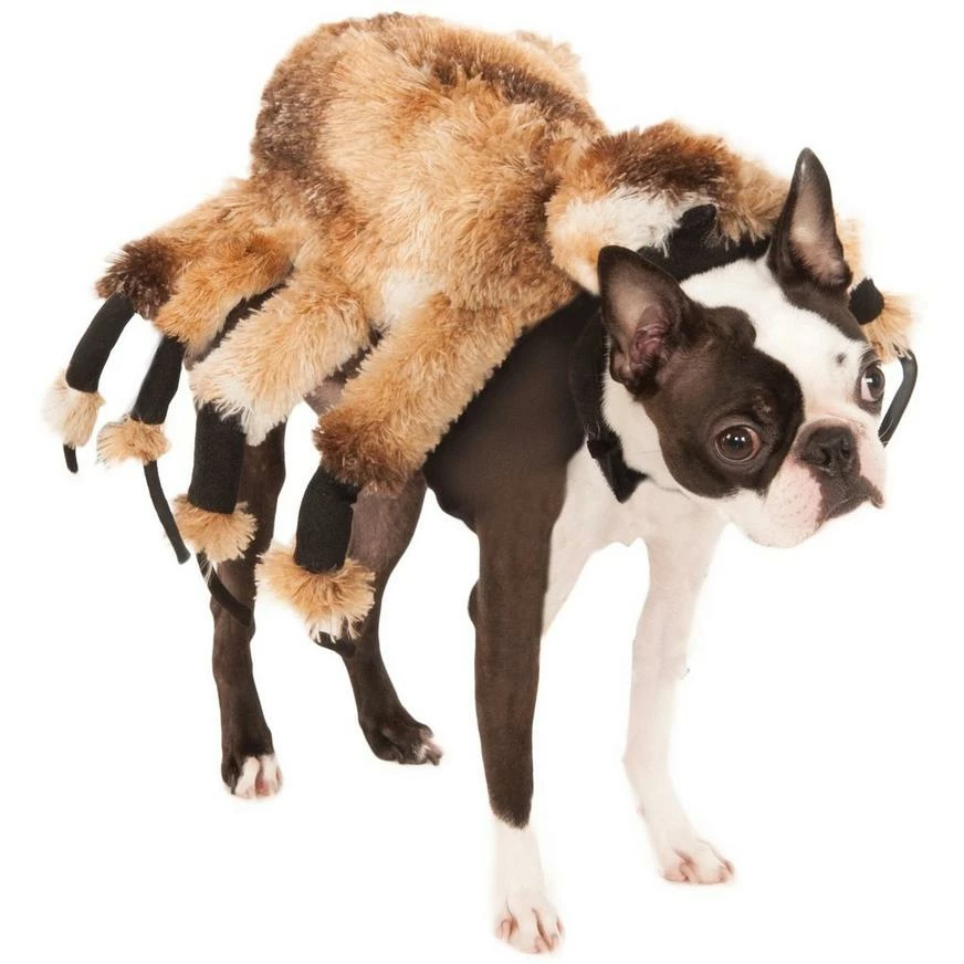 Giant Spider Dog Costume 3 Giant Spider Dog Costume
