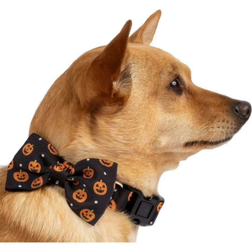 Halloween Pumpkin Bow Tie Dog Collar 3 Halloween Pumpkin Bow Tie Dog Collar
