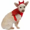 Red Winged Devil Dog Harness Set -Cosplay Store 2024 P890607