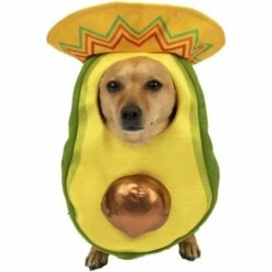Avocado Sombrero Costume For Dogs