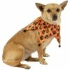 Halloween Pumpkin Jester Collar For Dogs -Cosplay Store 2024 P923017