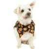 Black & Orange Jack-o'-Lantern Dog Scrunchie Collar -Cosplay Store 2024 P943160
