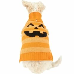 Striped Orange Jack-o'-Lantern Dog Sweater
